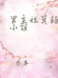 男主姓莫的总裁小说