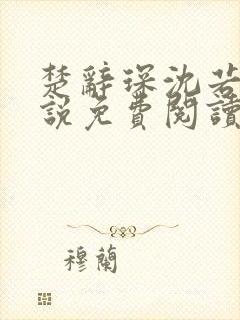 楚辞琛沈若京小说免费阅读无弹窗正版