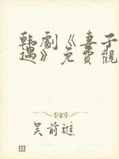 韩剧《妻子的外遇》免费观看