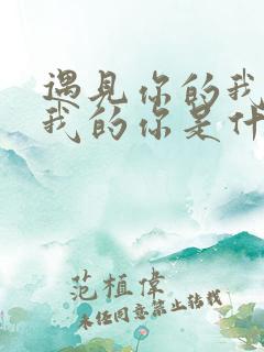 遇见你的我遇见我的你是什么歌
