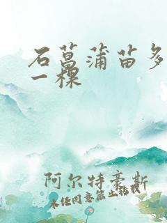 石菖蒲苗多少钱一棵