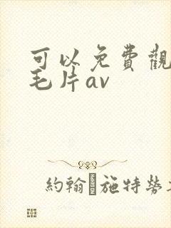 可以免费观看的毛片av