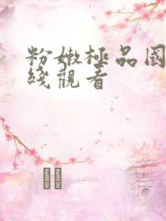 粉嫩极品国产在线观看