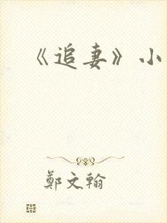 《追妻》小说