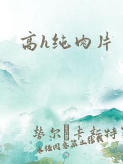 高h纯肉片