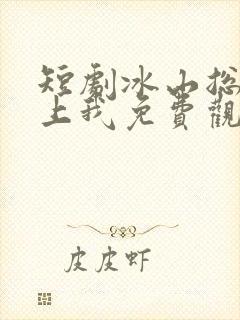 短剧冰山总裁赖上我免费观看全集