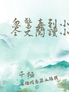 忽惊春到小桃枝全文阅读小说