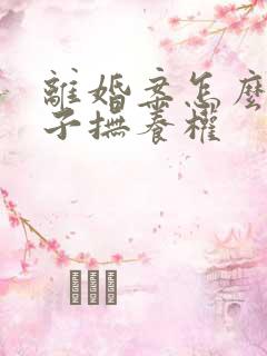 离婚案怎么判孩子抚养权