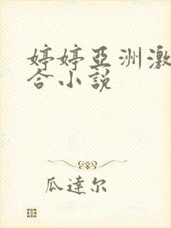 婷婷亚洲激情综合小说