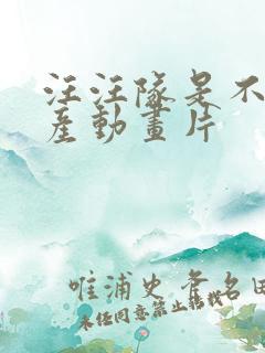 汪汪队是不是国产动画片