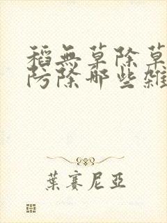 稻无草除草剂能防除哪些杂草