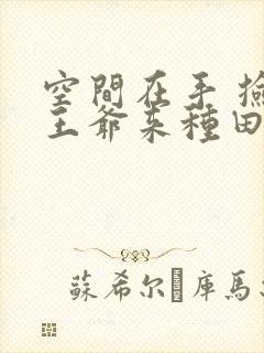 空间在手 捡个王爷来种田