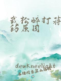 武松醉打蒋门神的原因