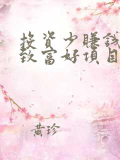 投资少赚钱快的致富好项目