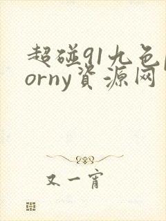超碰91九色porny资源网