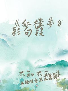 《红楼梦》的精彩句段