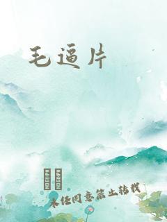毛逼片 毛逼片