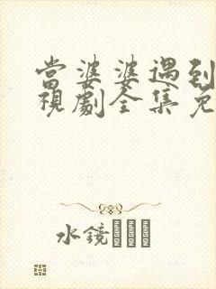 当婆婆遇到妈电视剧全集免费