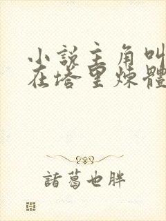 小说主角叫叶凡在塔里炼体 小说主角叫叶凡在塔里炼体
