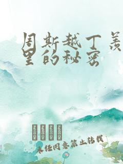 周斯越丁羡暗格里的秘密