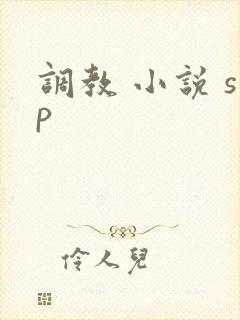 调教 小说 sp