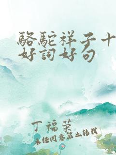 骆驼祥子十六章好词好句