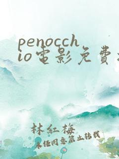 penocchio电影免费播放