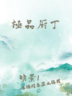 极品厨丁