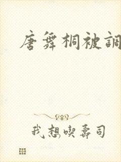 唐舞桐被调教