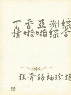 丁香亚洲综合激情啪啪综合