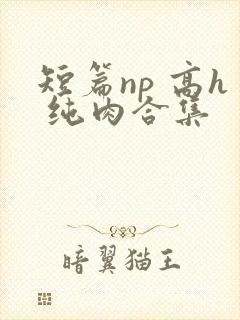 短篇np 高h 纯肉合集