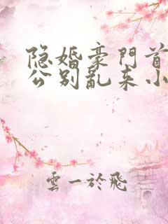 隐婚豪门首席老公别乱来小说