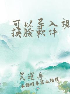 可以导入视频的换脸软件