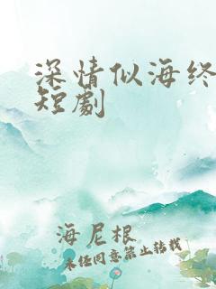 深情似海终成空短剧