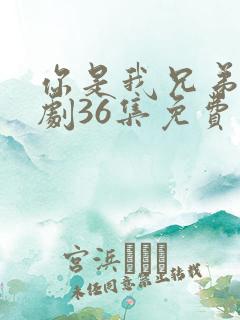 你是我兄弟电视剧36集免费看