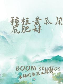 种植黄瓜用什么底肥好 种植黄瓜用什么底肥好