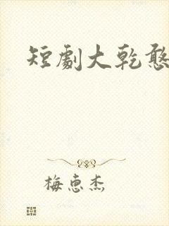短剧大乾憨婿 短剧大乾憨婿