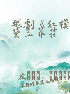 越剧《红楼梦》黛玉葬花