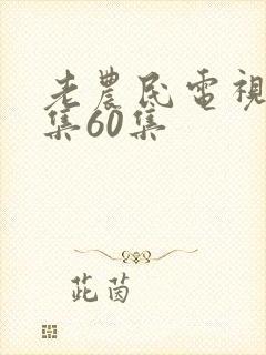 老农民电视剧全集60集