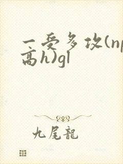 一受多攻(np高h)gl