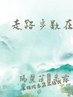 走路步数在哪