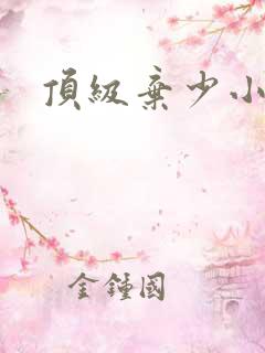 顶级弃少小说 顶级弃少小说