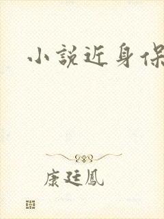 小说近身保镖