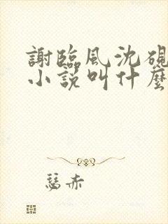 谢临风沈砚卿的小说叫什么名字