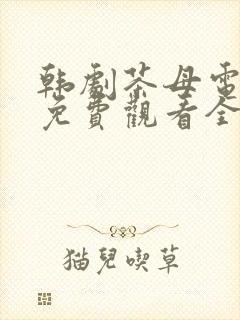 韩剧茶母电视剧免费观看全集