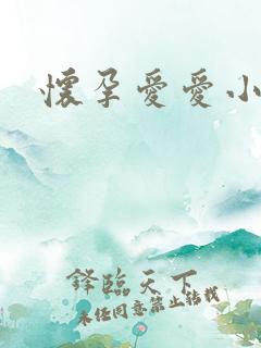 怀孕爱爱小说h