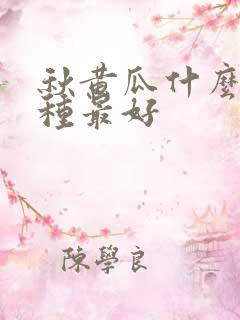 秋黄瓜什么时候种最好