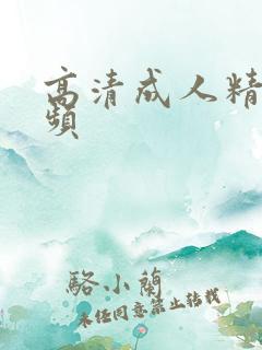 高清成人精品视频