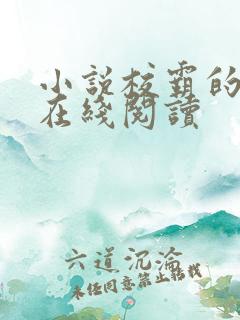 小说校霸的温柔在线阅读