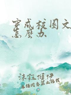 穿成校园文女神怎么办